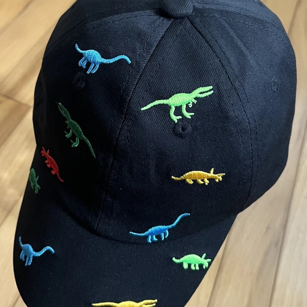 Black Cap with Colorful Dinosaur Embroidery